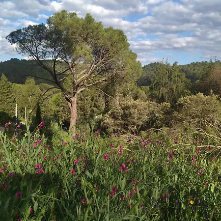 Bonita Casa Blanca En El Bosque. منزل ريفي